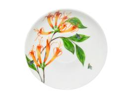Maxwell & Williams Eloise Short Lyric Cup & Saucer 240ml Regent Honeyeater Gift Boxed
