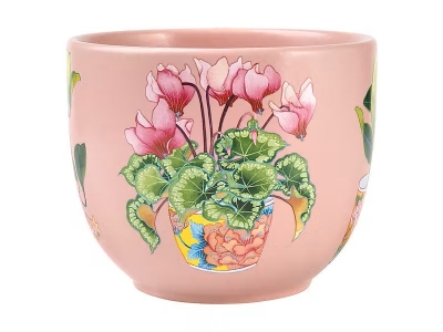 Maxwell & Williams Gabby Malpas Jardin Planter Pot 12cm Cyclamen