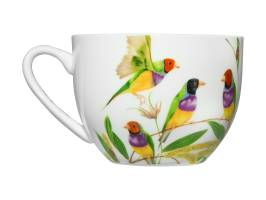 Maxwell & Williams Eloise Short Lyric Cup & Saucer 240ml Gouldian Finch Gift Boxed