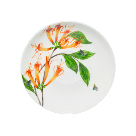 Maxwell & Williams Eloise Short Lyric Regent Honeyeater Bundle