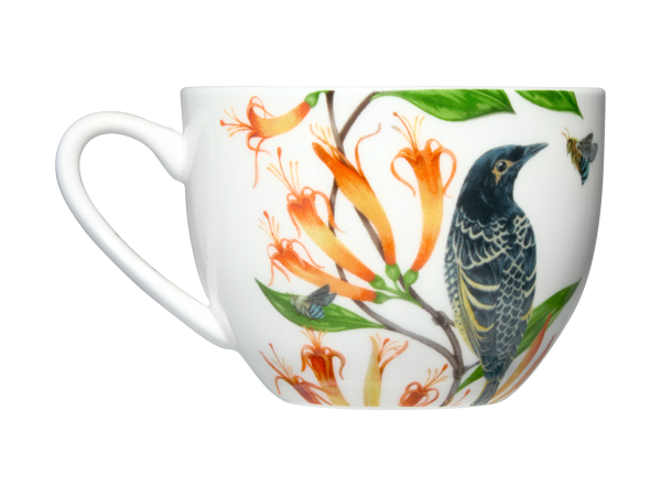 Maxwell & Williams Eloise Short Lyric Cup & Saucer 240ml Regent Honeyeater Gift Boxed