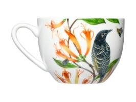 Maxwell & Williams Eloise Short Lyric Cup & Saucer 240ml Regent Honeyeater Gift Boxed